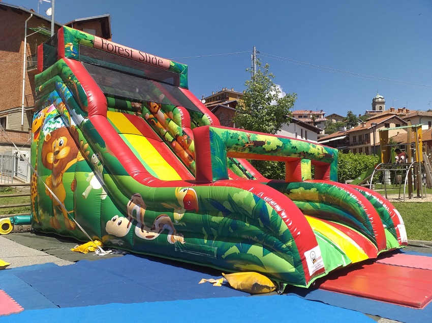019 Scivolo Foresta 8x5x5.5