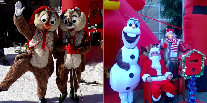cip ciop olaf