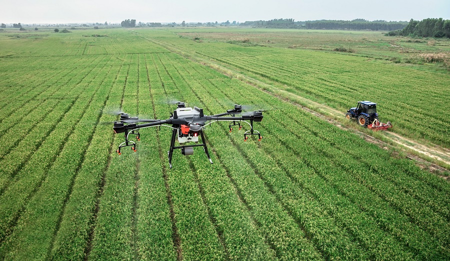 06 DRONE Agricoltura Gummilandia