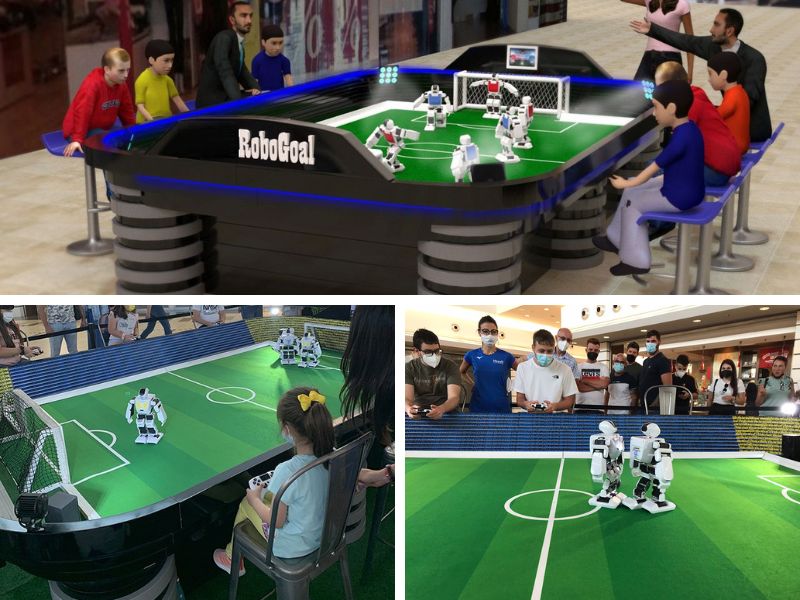 13 ROBOT GOAL