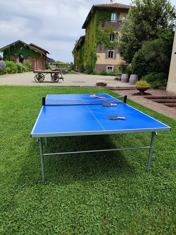 37 PING PONG regular